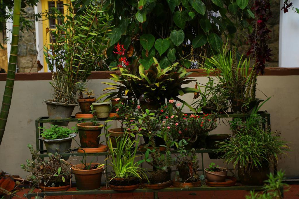 Pavithram Homestay Munnar Εξωτερικό φωτογραφία